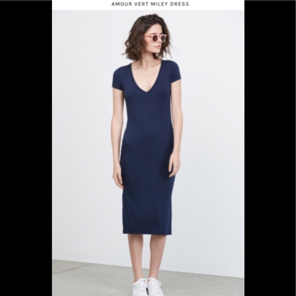 NWT Amour Vert Navy Miley dress